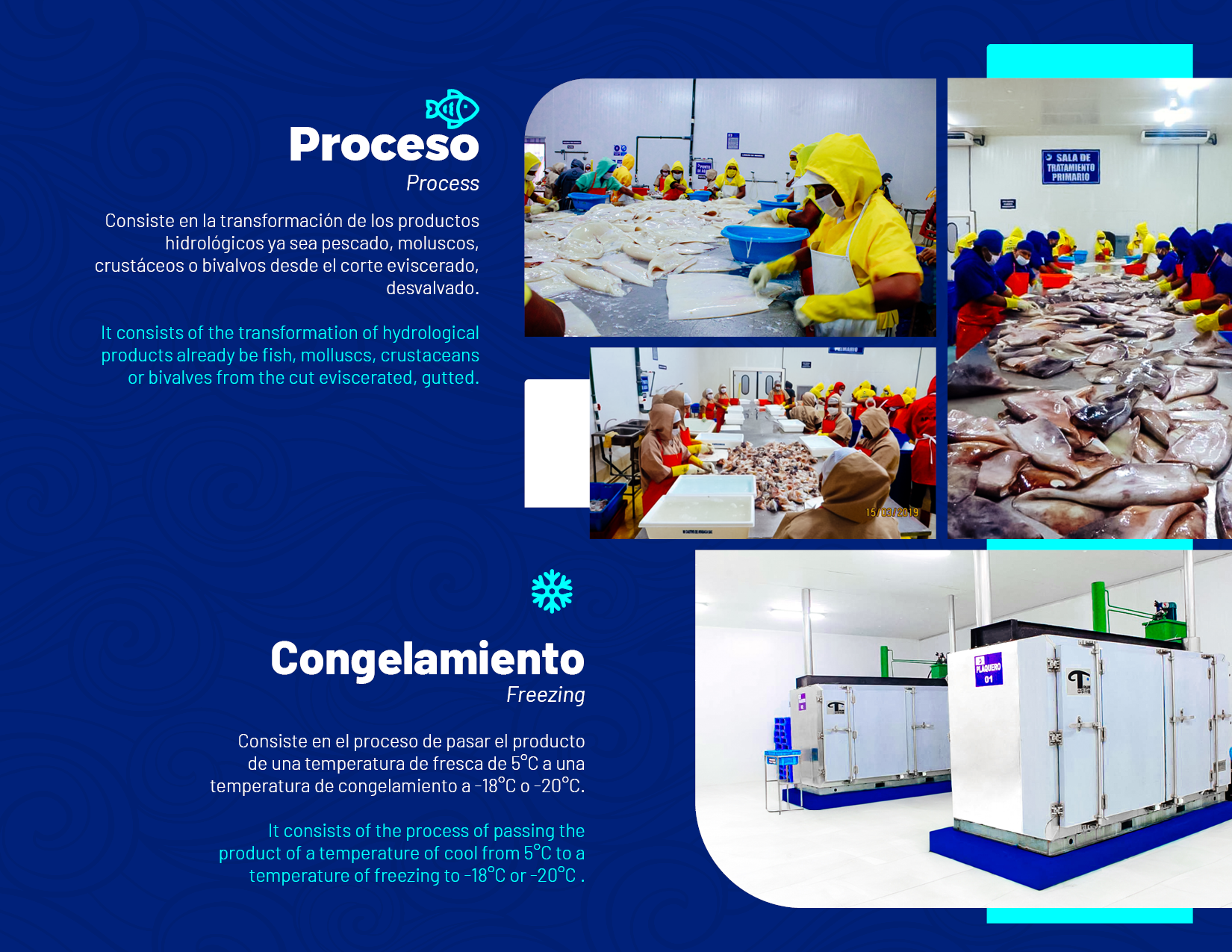 brochure 1
